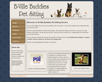 B-Ville Buddies Pet Sitting